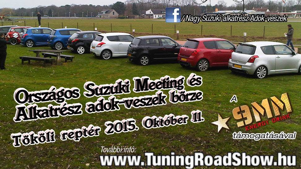 2015 Suzuki Meeting